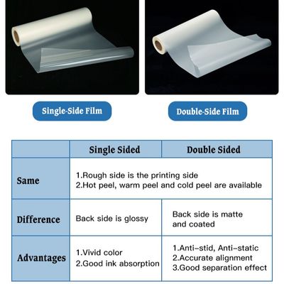 Двойная односторонняя пленка DTF для домашних животных 30CM 33CM 60CM 60CM * 100M Roll Heat Transfer 75Micron Hot Cold Peel